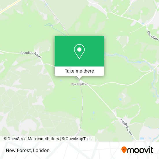 New Forest map