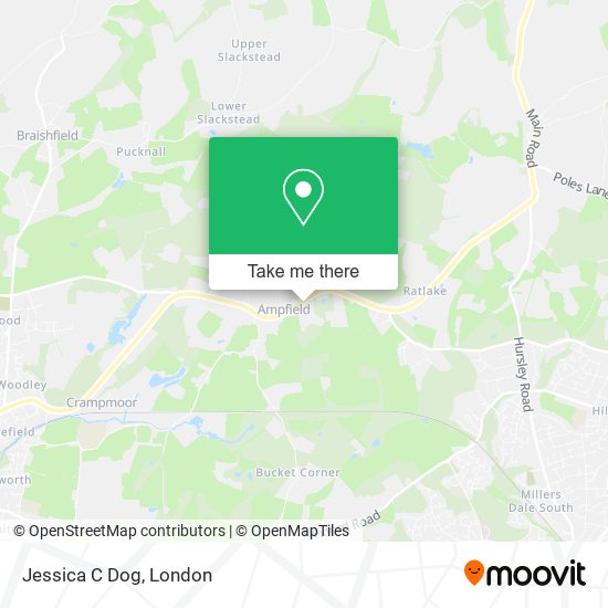 Jessica C Dog map