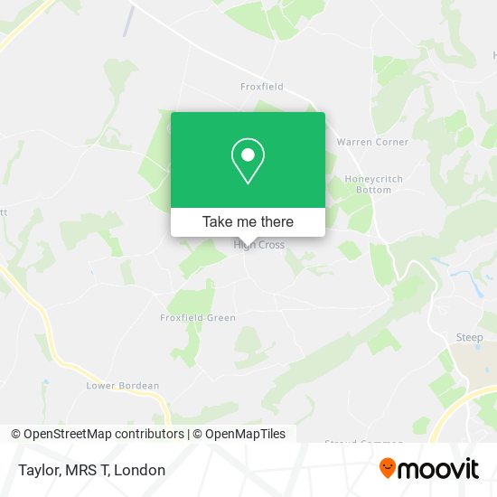 Taylor, MRS T map