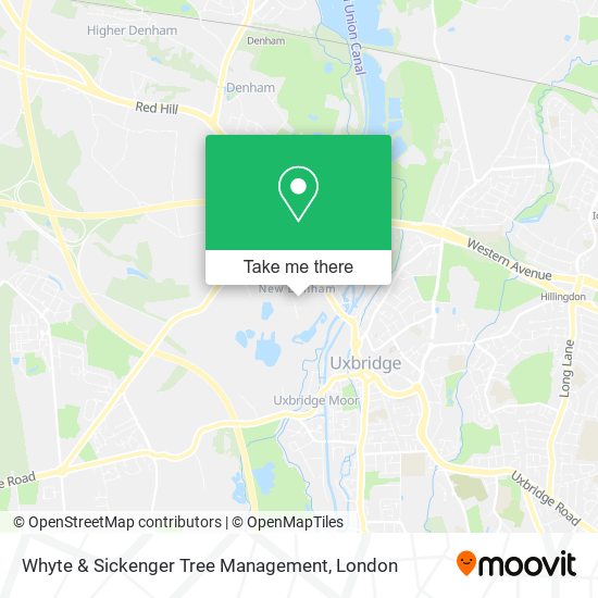 Whyte & Sickenger Tree Management map