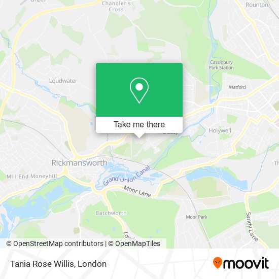 Tania Rose Willis map