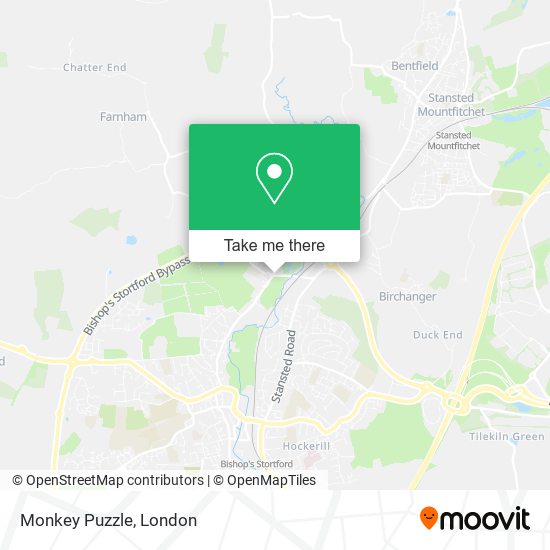 Monkey Puzzle map