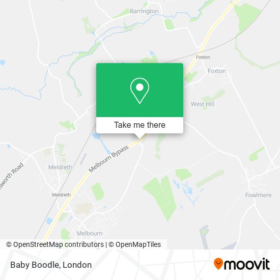 Baby Boodle map