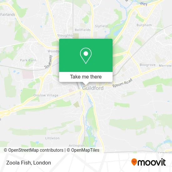 Zoola Fish map