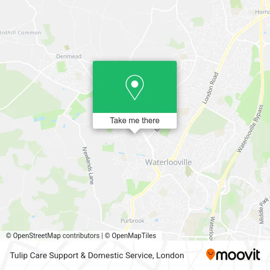Tulip Care Support & Domestic Service map