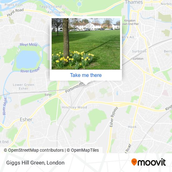 Giggs Hill Green map