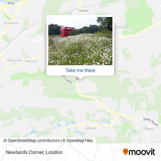 Newlands Corner map