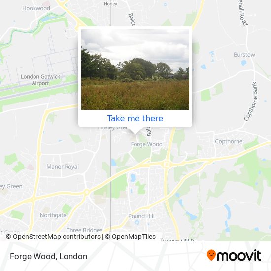 Forge Wood map