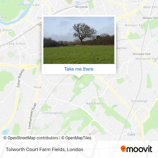 Tolworth Court Farm Fields map