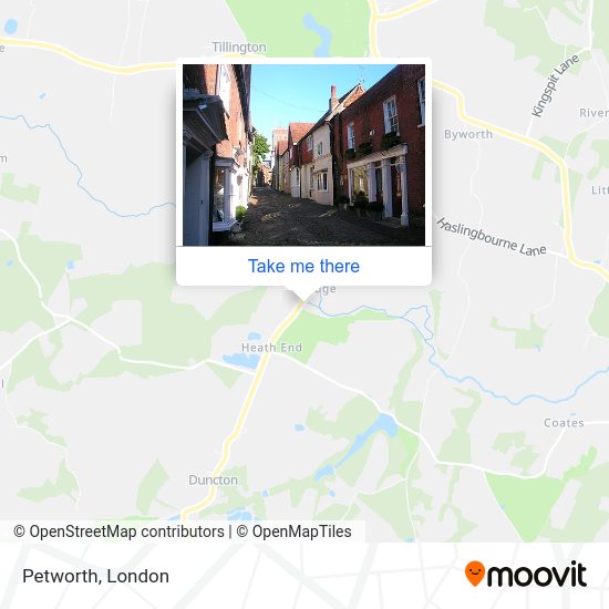How to get to Petworth in Chichester by bus or train?