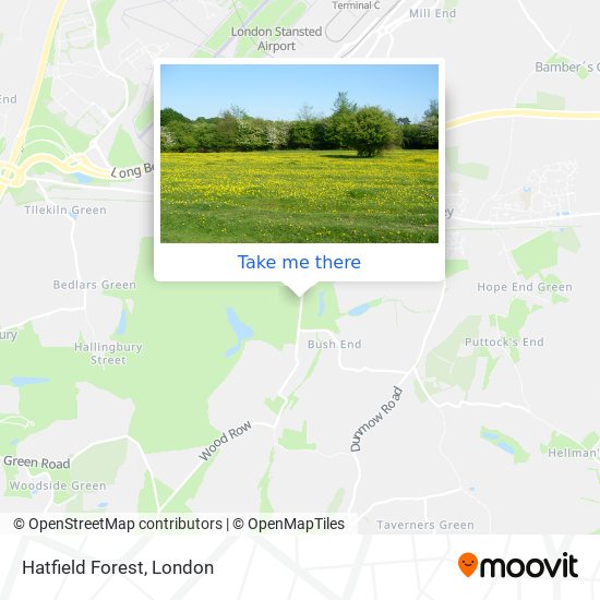 Hatfield Forest map
