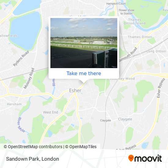 Sandown Park map