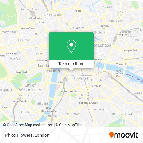 Phlox Flowers map