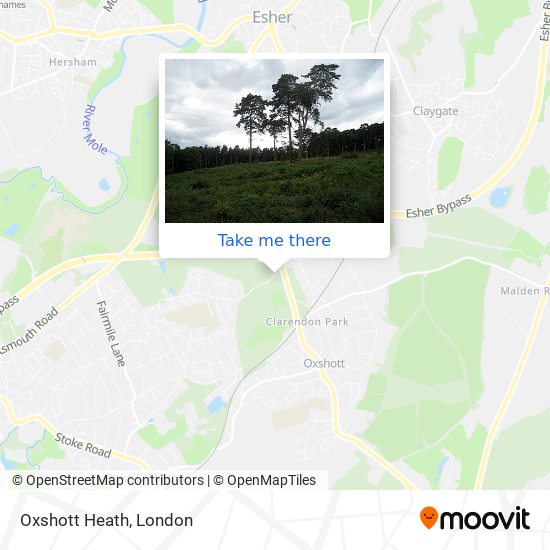 Oxshott Heath map