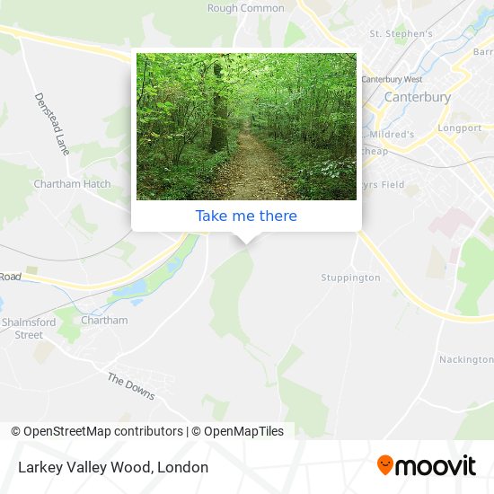 Larkey Valley Wood map