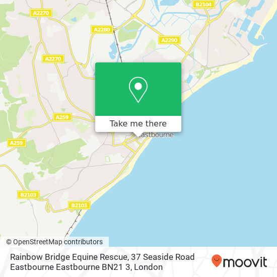 Rainbow Bridge Equine Rescue, 37 Seaside Road Eastbourne Eastbourne BN21 3 map