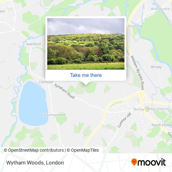 Wytham Woods map