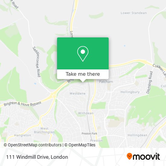 111 Windmill Drive map
