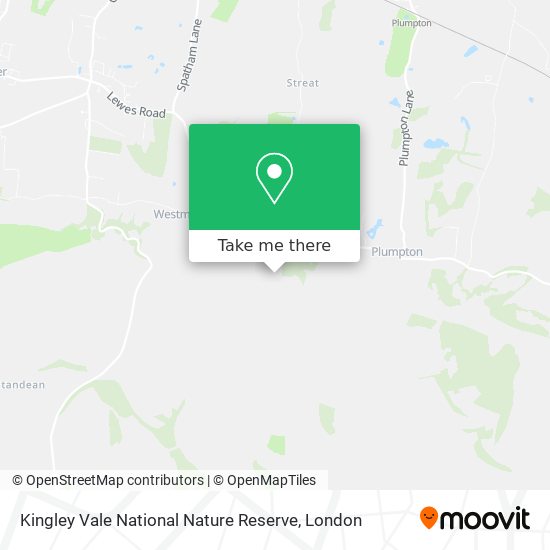Kingley Vale National Nature Reserve map