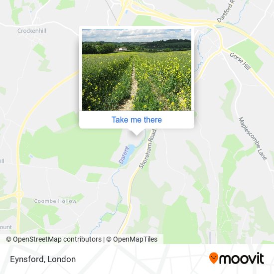 Eynsford map