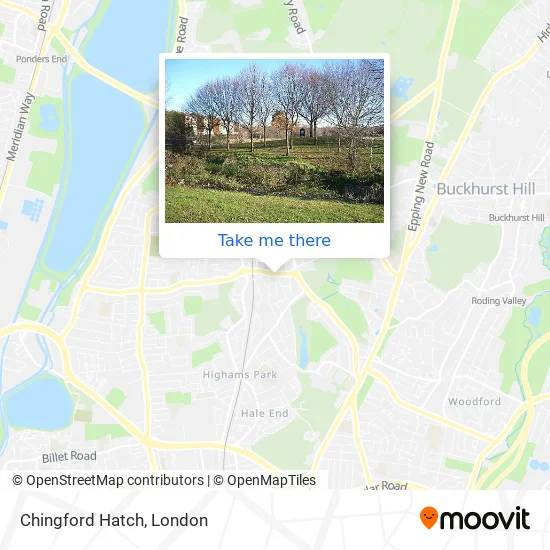 Chingford Hatch Gtr London #6 Walthamstow Map 1888 