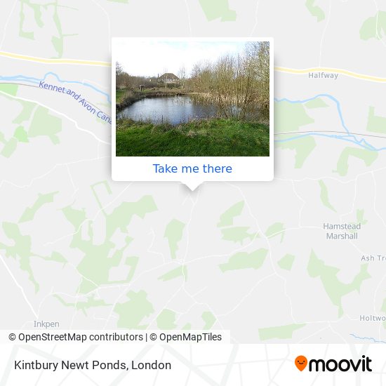 Kintbury Newt Ponds map