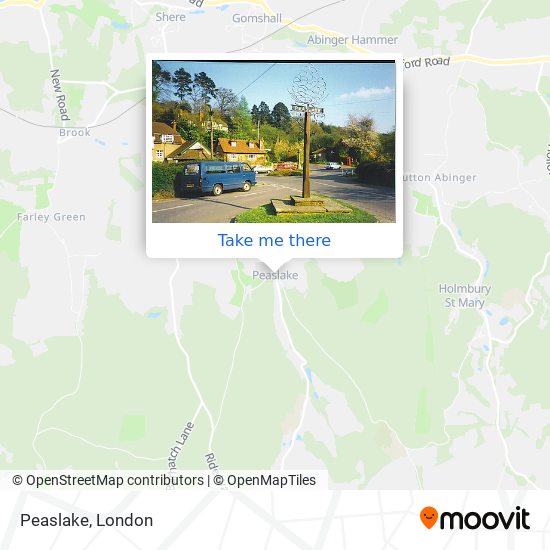 Peaslake map