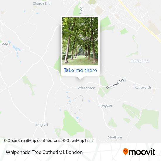 Whipsnade Tree Cathedral map