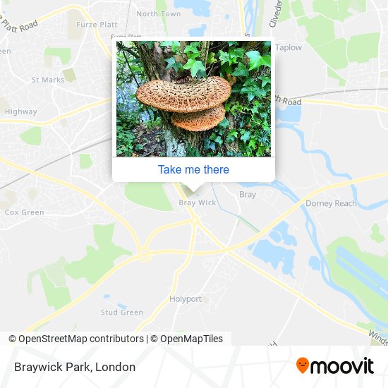 Braywick Park map