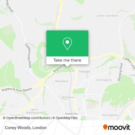 Coney Woods map