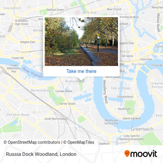 Russia Dock Woodland map