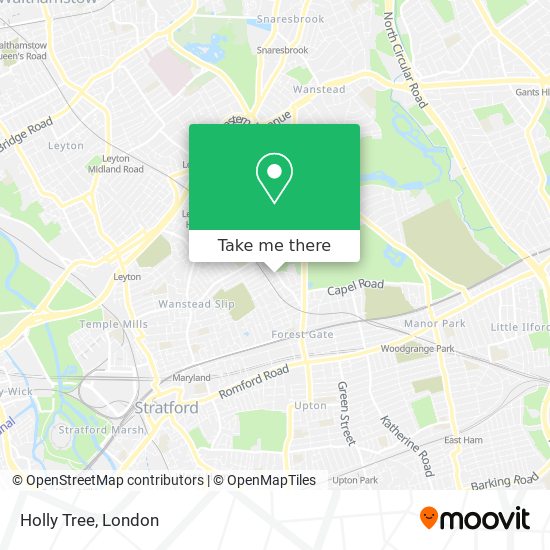 Holly Tree map