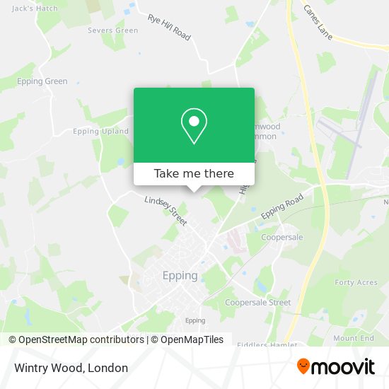 Wintry Wood map