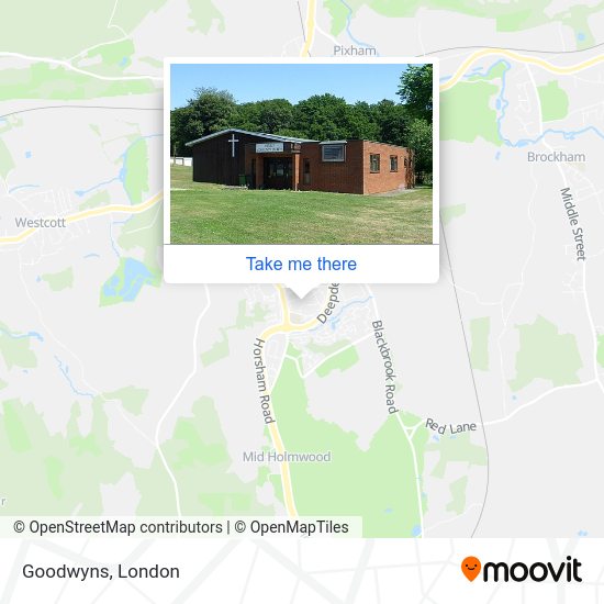 How to get to Goodwyns in Dorking by bus or train?