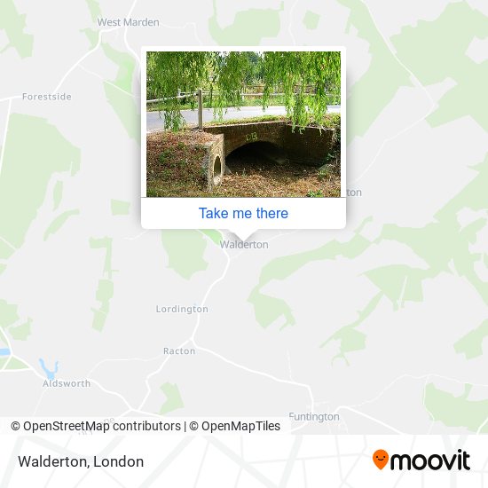 Walderton map