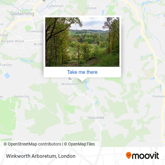 Winkworth Arboretum map