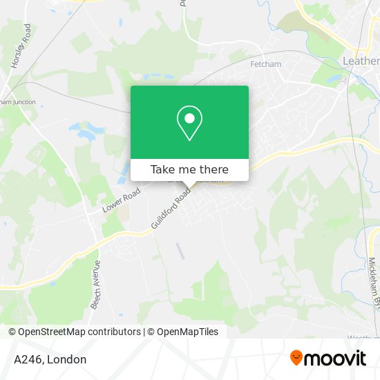 A246 map