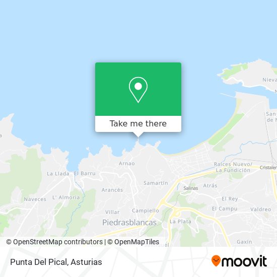 Punta Del Pical map