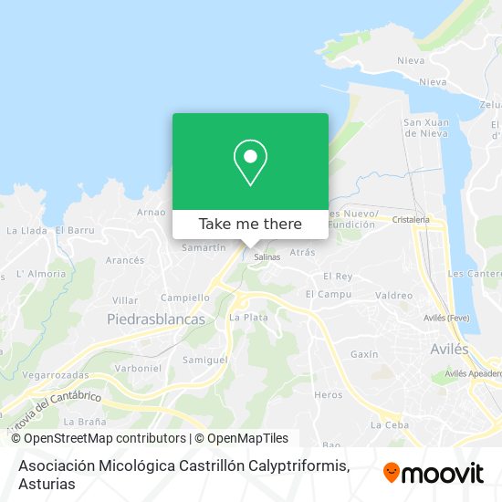 Asociación Micológica Castrillón Calyptriformis map