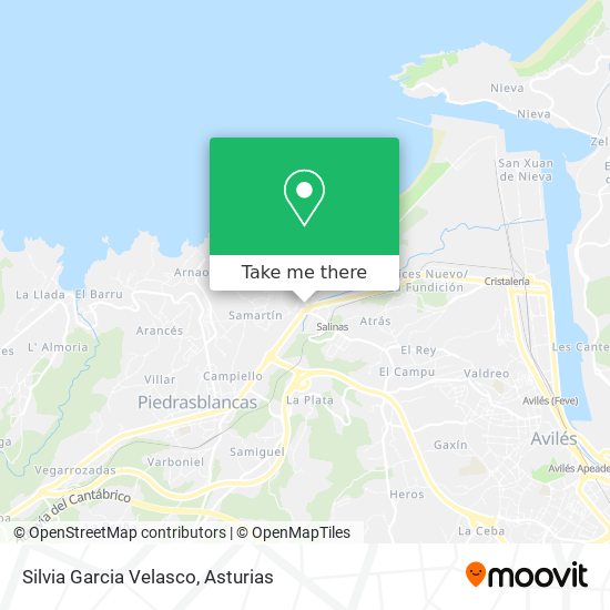 Silvia Garcia Velasco map