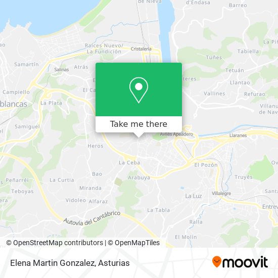Elena Martin Gonzalez map