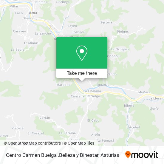 Centro Carmen Buelga .Belleza y Binestar map