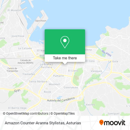 Amazon Counter-Aranna Stylistas map