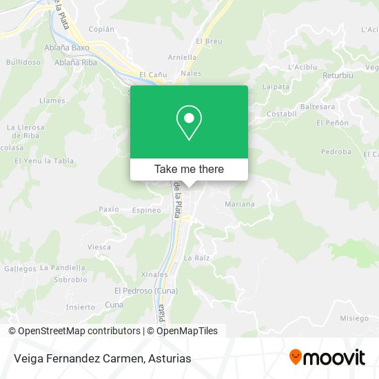 Veiga Fernandez Carmen map