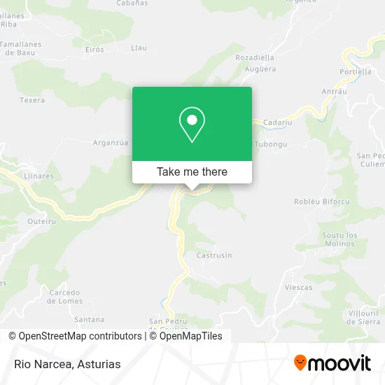 Rio Narcea map