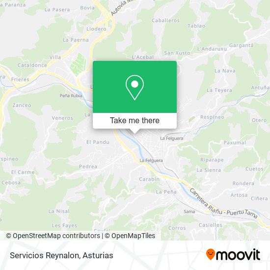 Servicios Reynalon map