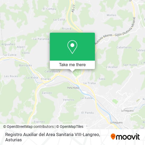 Registro Auxiliar del Area Sanitaria VIII-Langreo map