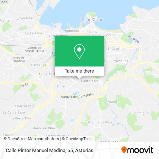 Calle Pintor Manuel Medina, 65 map