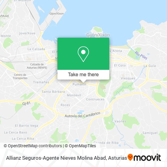 mapa Allianz Seguros-Agente Nieves Molina Abad