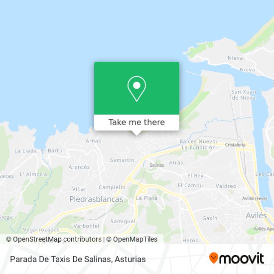 Parada De Taxis De Salinas map